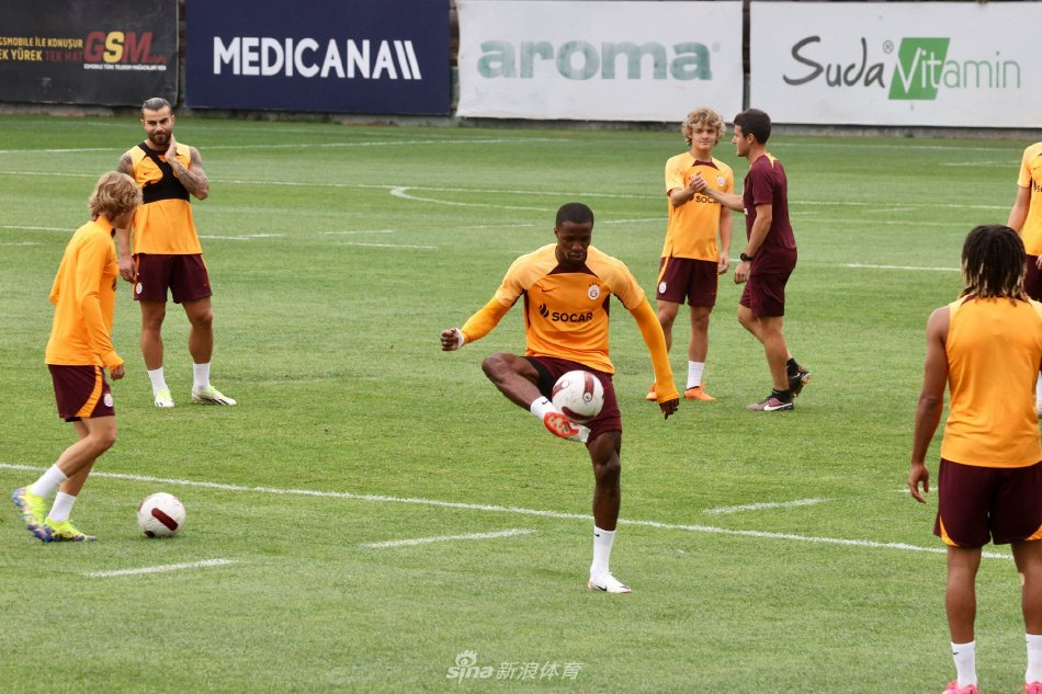 表现都备受 表现都备受